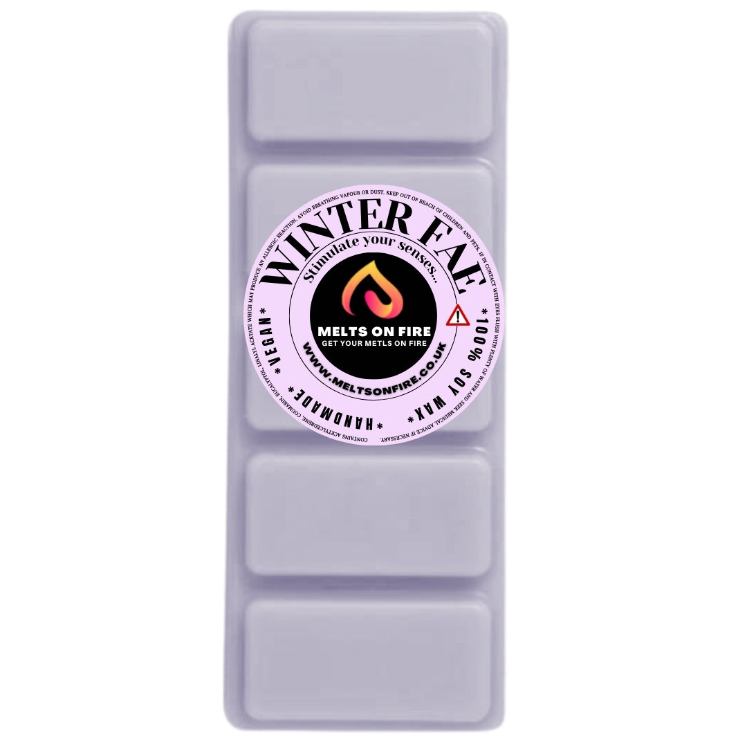 WINTER FAE Scented Wax Melts – Large 50g Bars with a Perfume-Inspired, Clean, Fresh, and Fruity Aroma.