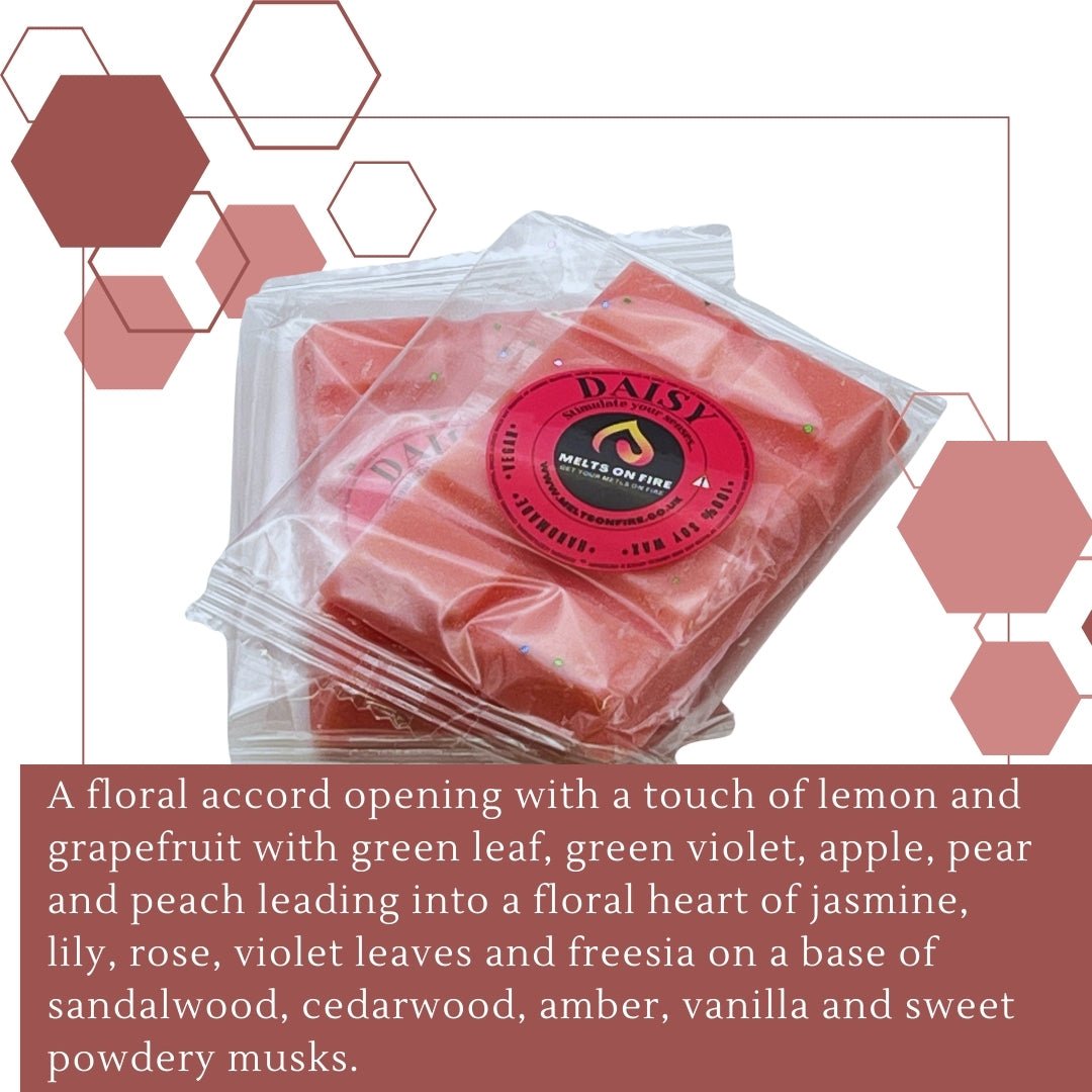 Daisy Wax Melts - Snap Bars - Soy Wax Melts - Meltsonfire