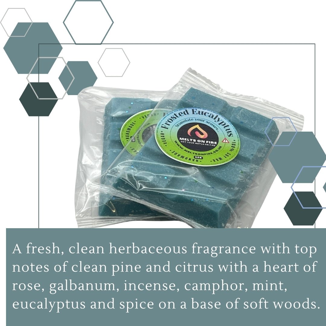 Frosted Eucalyptus Wax Melts - Snap Bars - Soy Wax Melts - Meltsonfire
