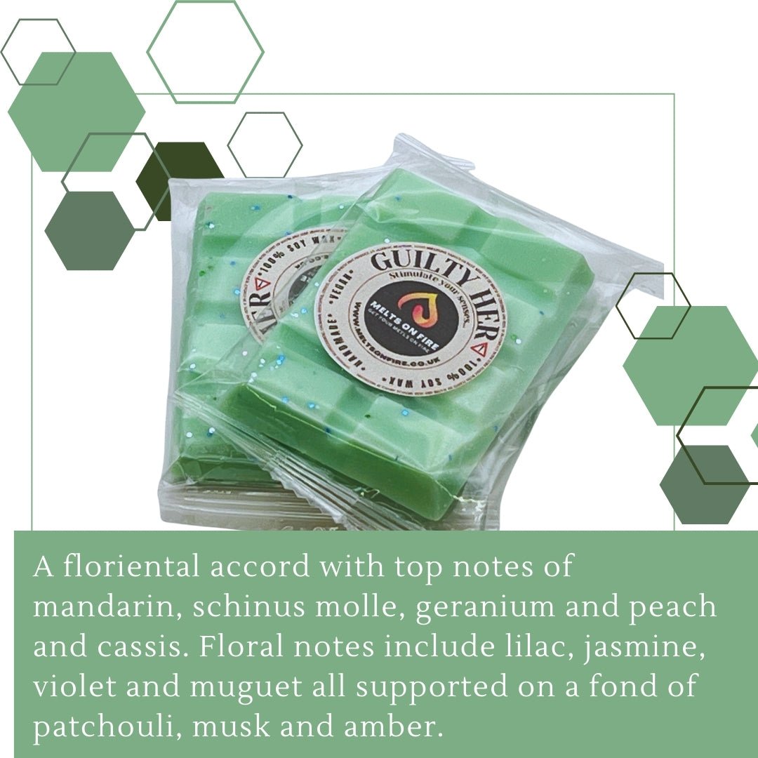 Guilty her Inspired Wax Melts - Snap Bars - Soy Wax Melts - Meltsonfire