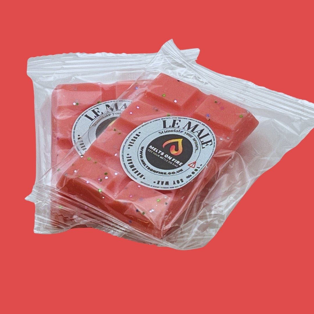 Le Male Wax Melts - Snap Bars - Soy Wax Melts - Meltsonfire