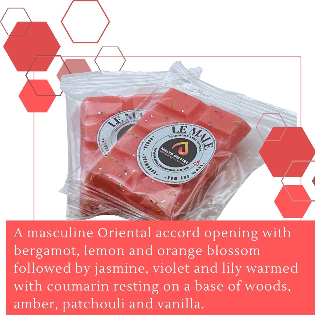 Le Male Wax Melts - Snap Bars - Soy Wax Melts - Meltsonfire