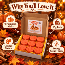 Load image into Gallery viewer, Pumpkin Wax Melts Natural Handmade Highly Scented Pumpkin Spice Fragrance - Meltsonfire