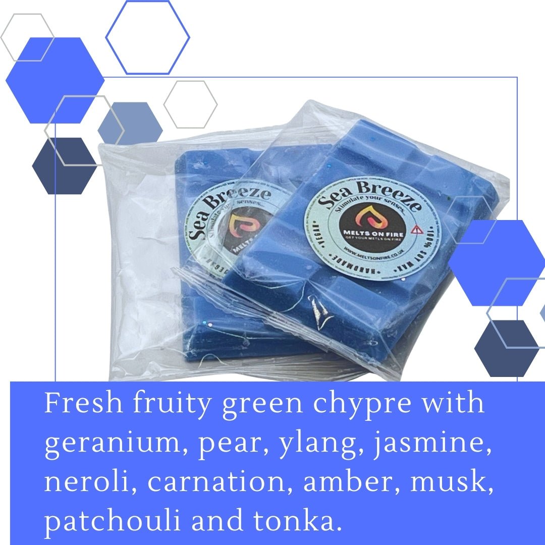 Sea Breeze Wax Melts - Soy Wax Melts - 25g - Highly Scented for Oil Burner - Vegan & Cruelty Free - Soy Wax - Home Fragrance - Meltsonfire