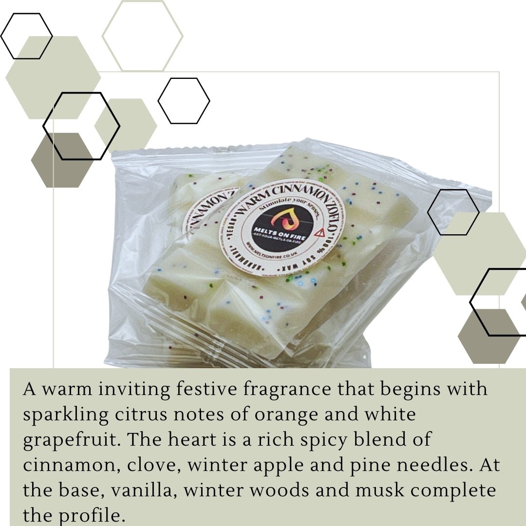 Warm Cinnamon Zof Wax Melts - Snap Bars - Soy Wax Melts - Meltsonfire