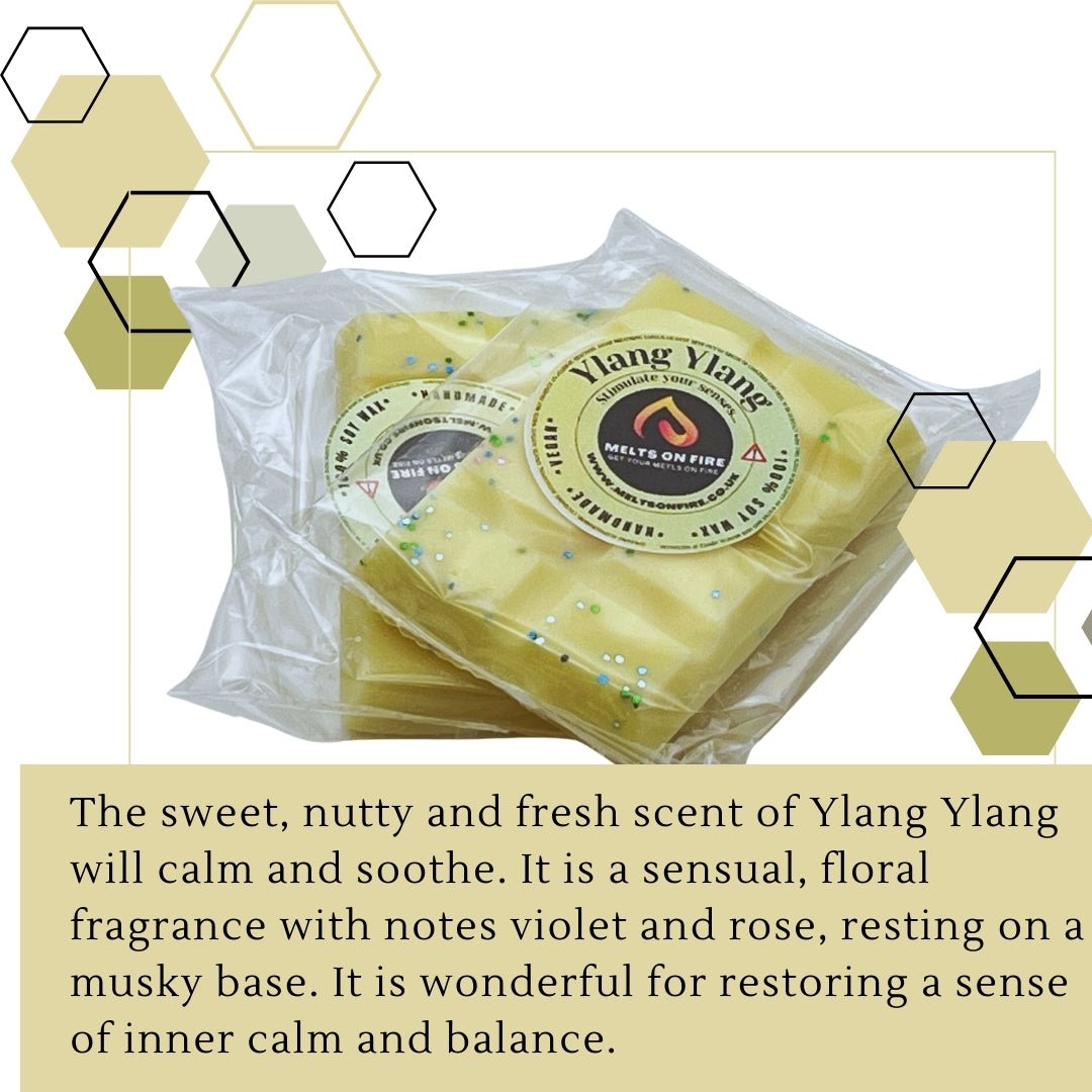 Ylang Ylang Wax Melts - Soy Wax Melts - 25g - Highly Scented for Oil Burner - Vegan & Cruelty Free - Soy Wax - Home Fragrance - Meltsonfire