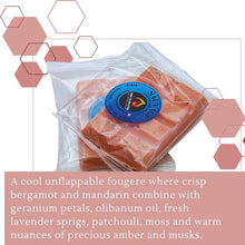 Load image into Gallery viewer, Savage Wax Melts - Snap Bars - Soy Wax Melts - Meltsonfire
