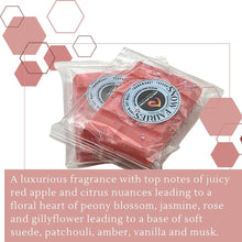 Load image into Gallery viewer, Snow Fairy Wax Melts - Snap Bars - Soy Wax Melts - Meltsonfire
