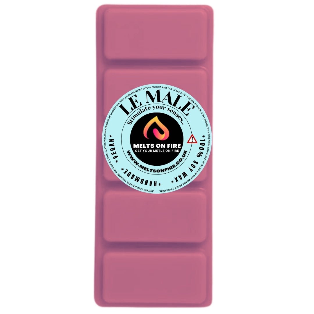 THE MALE Scented Wax Melts – Large 50g Bars with a Perfume - Inspired, Clean, Fresh, and Fruity Aroma. - Meltsonfire